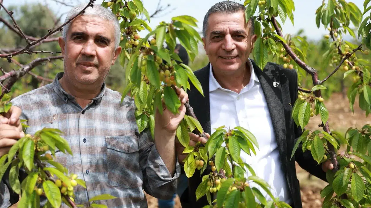 Başkan Şimşek kiraz üreticileriyle bir araya geldi