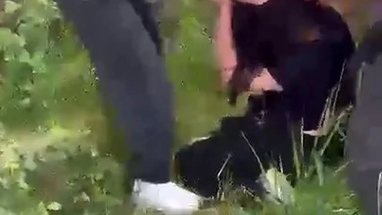 Kendilerinden küçük kızı evire çevire dövdüler!