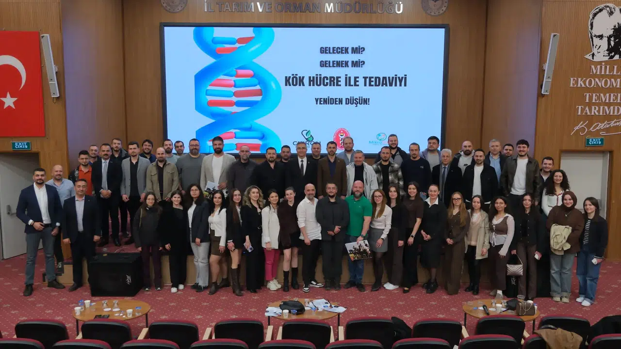 Veteriner hekimler kök hücre ile tedavi yapacaklar