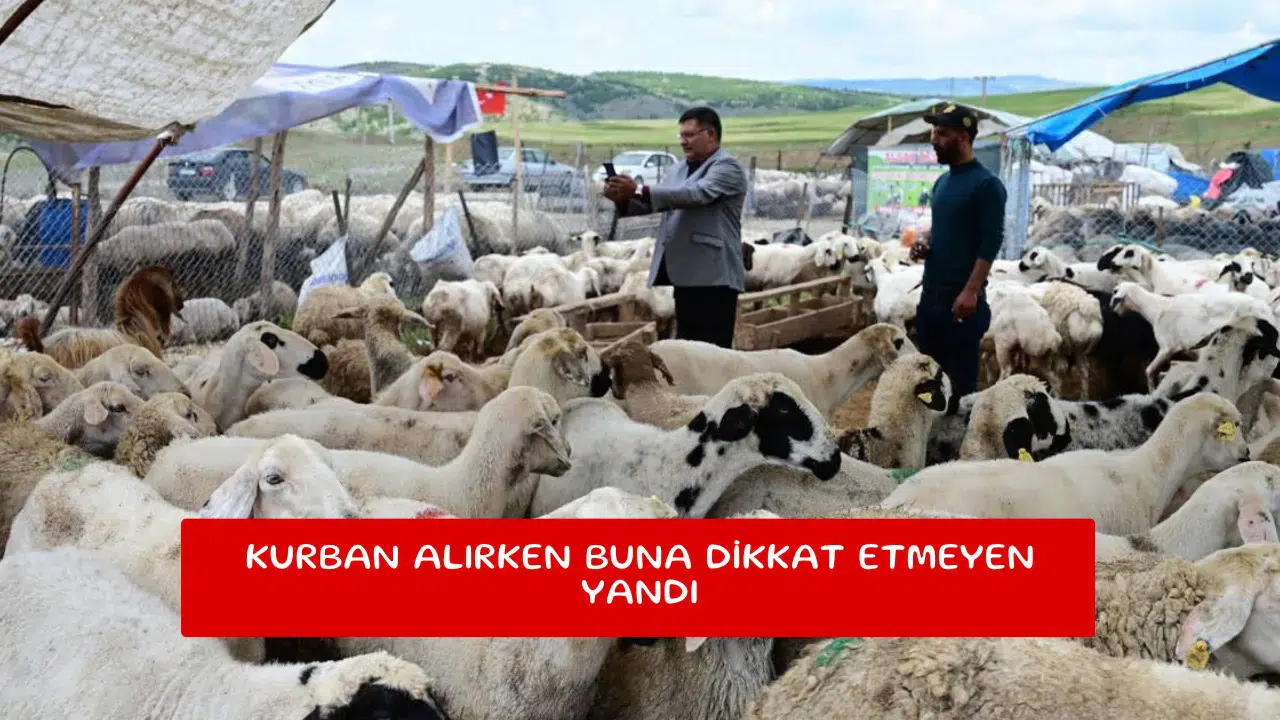 Kurban alırken buna dikkat etmeyen yandı