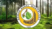 Orman Genel Müdürlüğü işçi alımı için şartlar belli oldu: İşte tüm detaylar