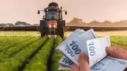 Çiftçilere Müjde! Zirai Don Desteği Ödemeleri Başladı