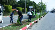 Manisa'nın o ilçesi yeşile doyacak