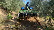 Çiftçiler yağmura sevindi