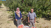 Doğal ürünleri birlikte üretiyor, pazarda birlikte satıyorlar