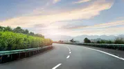 Yol kenarında yetişiyor kilosu 600 TL! Faydaları saymakla bitmiyor
