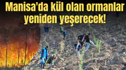 Manisa'da kül olan ormanlar yeniden yeşerecek!