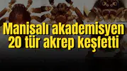 Manisalı akademisyen 20 tür akrep keşfetti