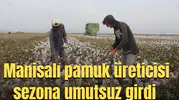 Manisalı pamuk üreticisi sezona umutsuz girdi