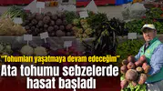 Ata tohumu sebzelerde hasat başladı