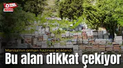 Manisa'nın orman hazinesi açıklandı: Bu alan dikkat çekiyor