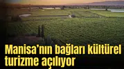 Manisa’nın bağları kültürel turizme açılıyor