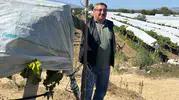 Bağ sahibinden ilginç çözüm