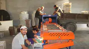 Tüketicide “organik zeytinyağı” bilinci arttı