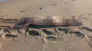 Şehri ayağa kaldıran olay! Çıplak ceset buldular