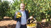 Mandalina ihracatından bakın ne kadar döviz bekleniyor