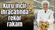 Kuru incir ihracatında rekorrakam