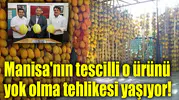 Manisa'nın tescilli o ürünü yok olma tehlikesi yaşıyor!