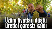 Üzüm fiyatları düştü üretici çaresiz kaldı