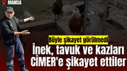 İnek, tavuk ve kazları CİMER'e şikayet ettiler