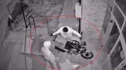 Böyle rahat hırsız görmediniz