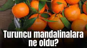 Turuncu mandalinalara ne oldu?