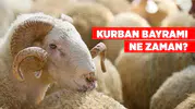 Kurban Bayramı 2026 Ne Zaman? İşte Gün Gün Bayram Tarihleri ve Detaylar