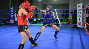 Muay Thai Şampiyonası başlıyor