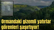Ormandaki gizemli yatırlar görenleri şaşırtıyor!