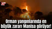 Orman yangınlarında en büyük zararı Manisa görüyor!