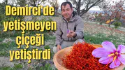 Demirci'de yetişmeyen çiçeği yetiştirdi