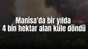 Manisa'da bir yılda 4 bin 562 hektar alan küle döndü
