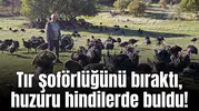 Tır şoförlüğünü bıraktı, huzuru hindilerde buldu!