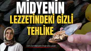 MİDYENİN LEZZETİNDEKİ GİZLİ TEHLİKE: DENİZLERİN SESSİZ ÇAĞRISI