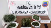 Manisa jandarmasından kaçamadılar