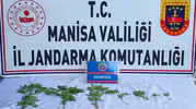 Jandarma uyuşturucuya geçit vermiyor