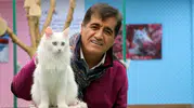 Ünlü sanatçı nesli tükenmekte olan kedi ile düet yaptı