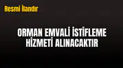 ORMAN EMVALİ İSTİFLEME HİZMETİ ALINACAKTIR