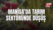 MANİSA’DA TARIM SEKTÖRÜNDE DÜŞÜŞ