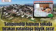 Sahiplendiği hayvanı sokağa bırakan vatandaşa büyük ceza!