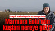 Avrupalı akademisyen bu sorunun peşinde: Marmara Gölü’nün kuşları nereye gitti?