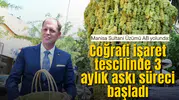 Manisa Sultani Üzümü AB yolunda: Coğrafi işaret tescilinde 3 aylık askı süreci başladı