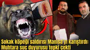 Manisa'da vahşet:2 çocuğa köpekler saldırdı