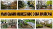 Manisa'nın merkezinde doğa harikası