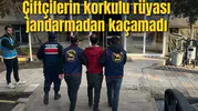 Çiftçilerin korkulu rüyası  jandarmadan kaçamadı