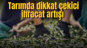 Tarımda dikkat çekici ihracat artışı