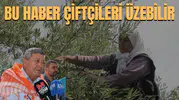 BU HABER ÇİFTÇİLERİ ÜZEBİLİR