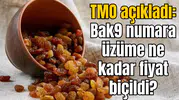 TMO 9 numara üzüm alım fiyatını açıkladı
