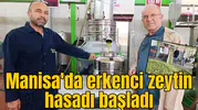Manisa'da erkenci zeytin hasadı başladı