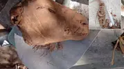 Mezarcının kazdığı her yerden büyü çıktı!